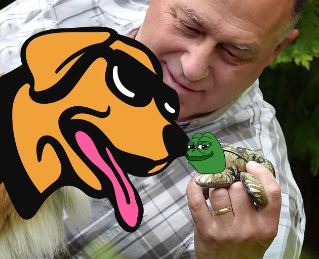 Here you go $WOOF, a little snack!

#PEPE #WOOF $PEPE $WOOF 🐸🐶