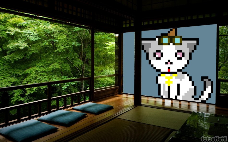 Save a Kitty from the metaverse !

Ruby's Kitties vibe and fun 💖 !
10K unique pfp Kitties on #0xPolygon

Help our project grow 😺 ! 
Cuddle your Kitty !
Ruby's Kitties vibe and fun 💖 !
rubykitties.net