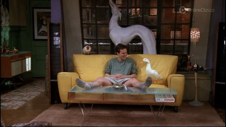 ChandlerBing_12's tweet photo. Saturday mood: Chandler Bing https://t.co/vdAC8Hbwhb