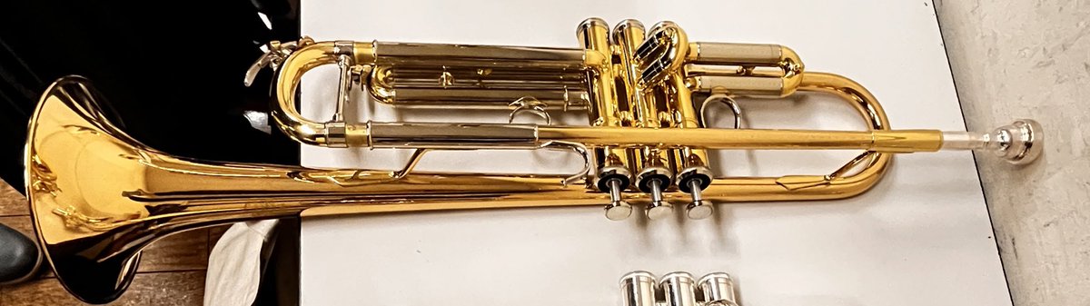 Rui_mss_'s tweet photo. うちの子
コルネット→YCR-2330/YAMAHA 11E4
トランペット→YTR-850G/Bach 3C https://t.co/cDLs6YbKUr