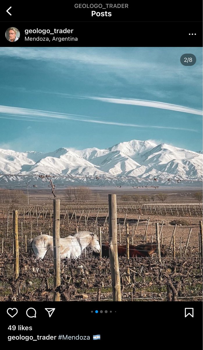 Jordan 🇦🇺 tweet media