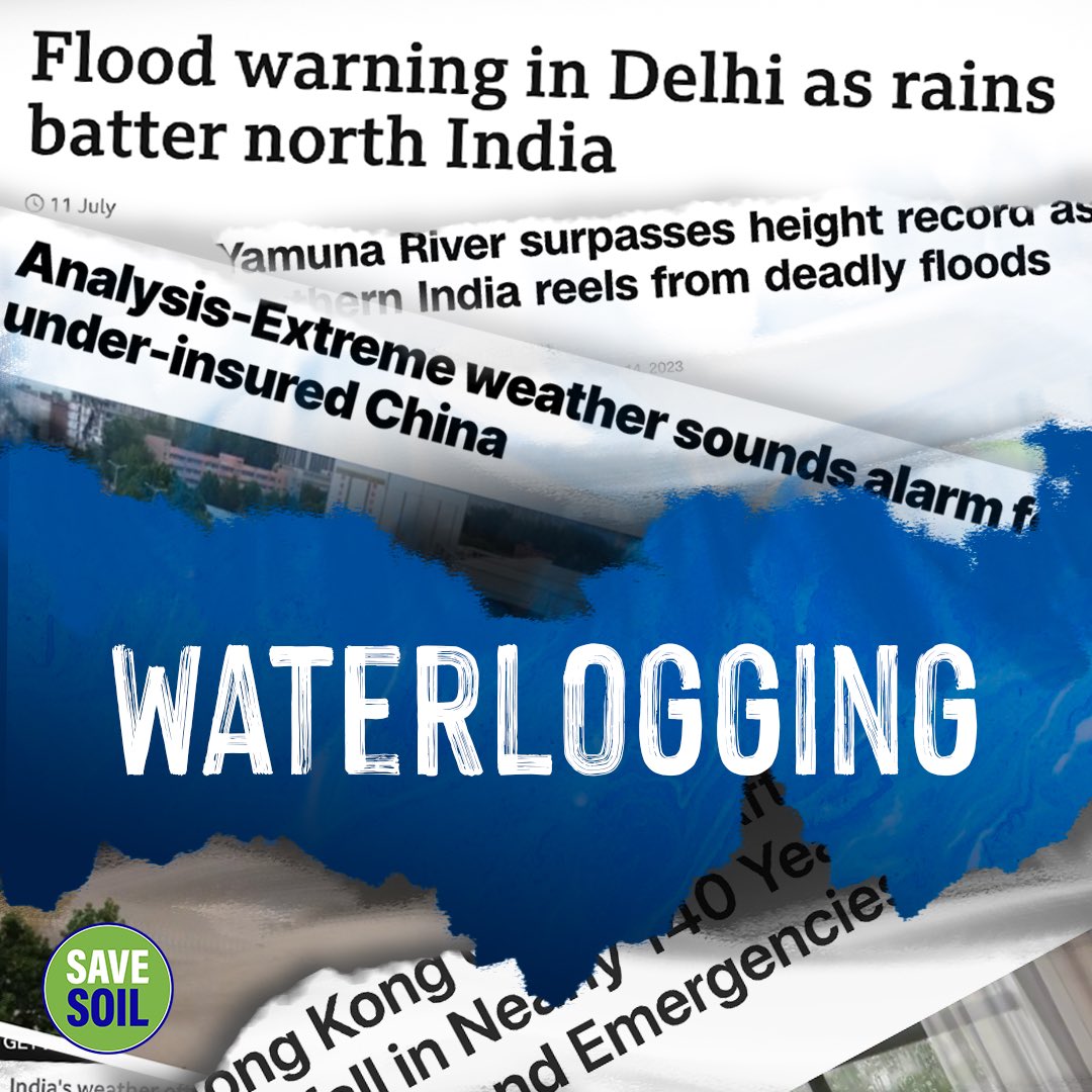 cpsavesoil's tweet photo. Beware of 🌊 waterlogging! It occurs when an area is flooded due to heavy rainfall ⛈️ or poor drainage, wreaking havoc on agriculture, 🚍transport, and 🏡 settlements. The soil's drainage capacity is compromised, reducing oxygen to plant roots, causing flooding, stunted growth, higher soil salinity, altered soil life, and erosion. Waterlogging can be combated by boosting soil organic matter, using raised beds, ensuring good drainage, and mulching.

Action now: https://t.co/uVnQCIZ3pr
#SaveSoil #SaveSoilFixClimateChange #SoilforClimateAction