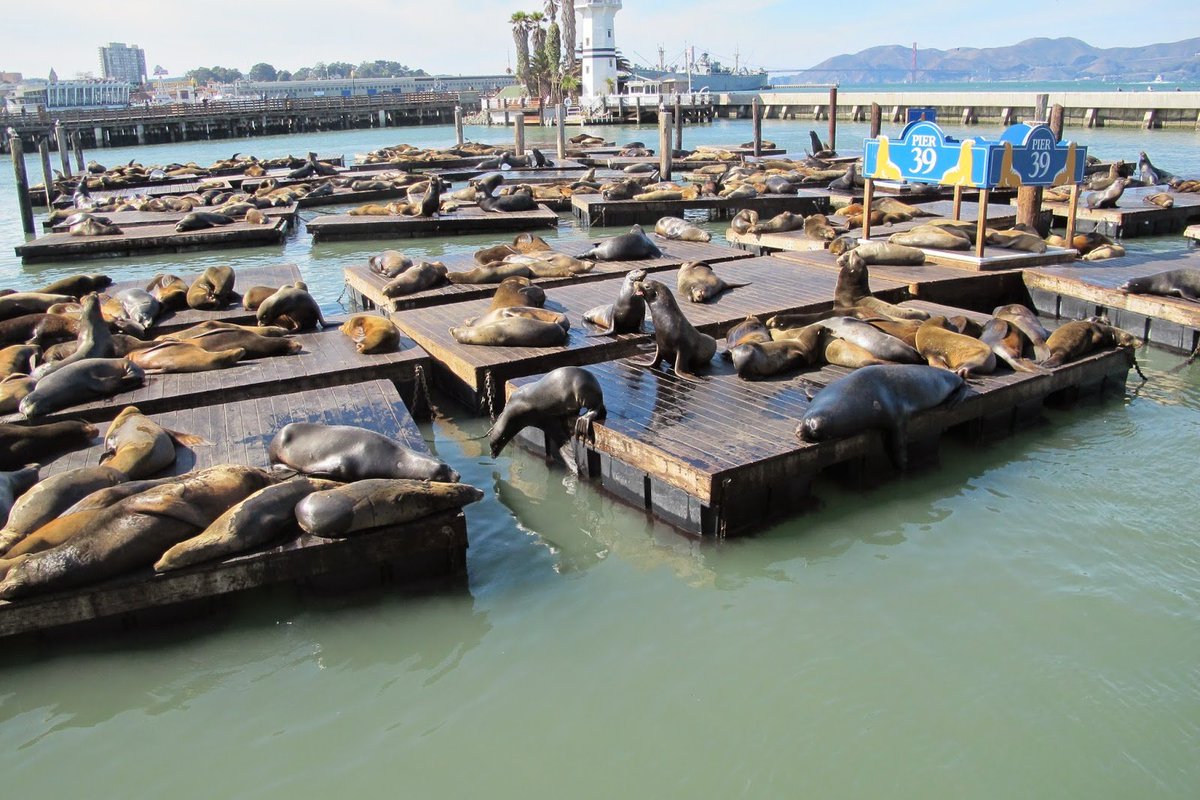 Manifest_Utopia's tweet image. Entheos @EntheosShines 1/12/24 RT: 

Wait until they get to this part sir

TICK

#OakTree #ObamaGate #Burners

Gmail -----&amp;gt;&amp;gt;&amp;gt;  Twitter (Jack)

Pier 39 (WET)



#CommsChainEvidence #SealTeam6 #WetWorks