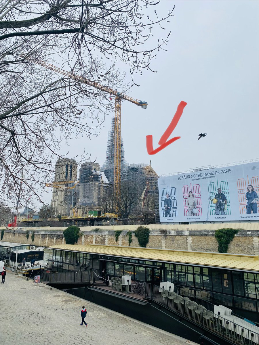 Agnes C. Poirier tweet media