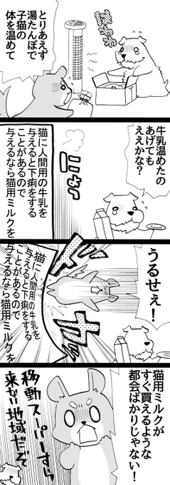 四コマ「祖父んちの隣人が多頭飼育崩壊した話20」  緊急事態ということで…皆様は可能であれば猫用ミルクをあげてください。  #猫 #四コマ漫画 #御かぞくさま御いっこう