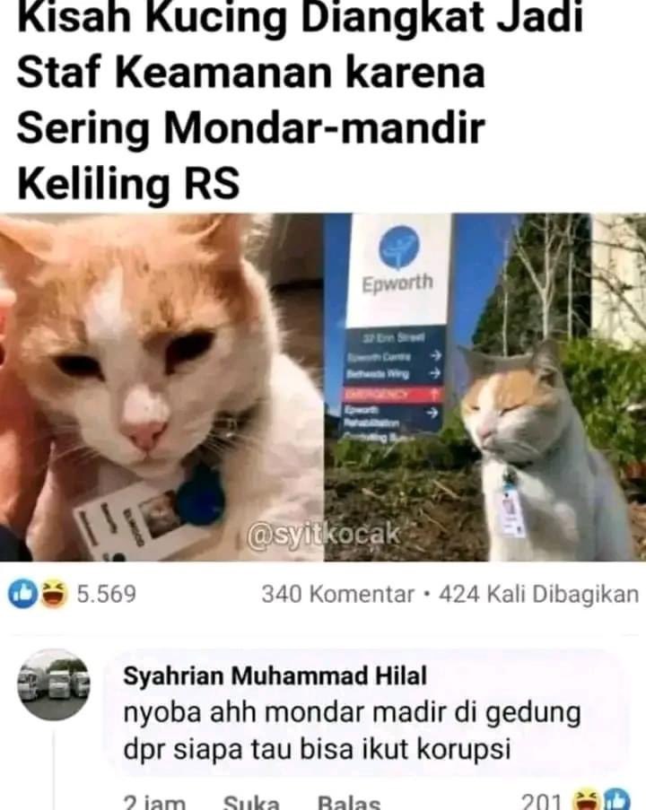 sosmed keras (@sosmedkeras) on Twitter photo 