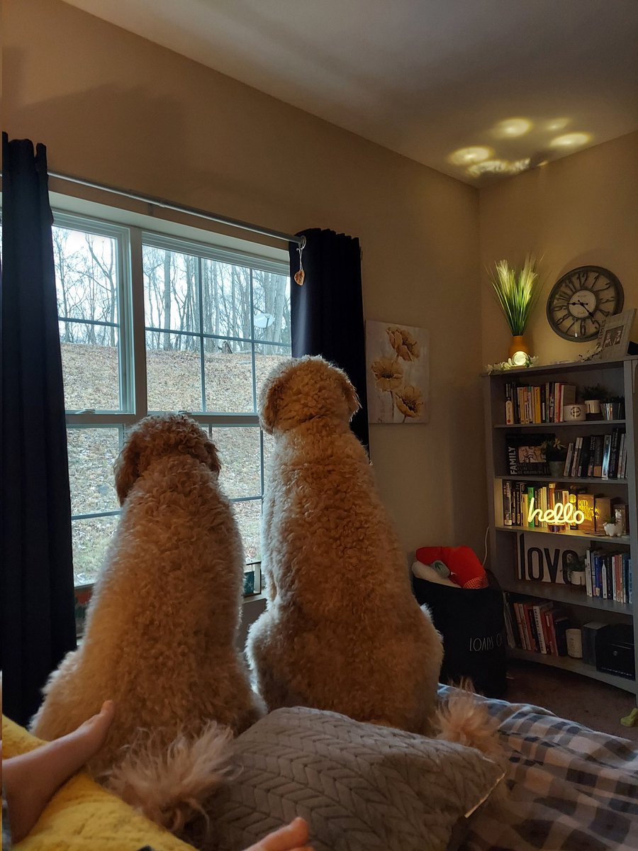 Watching it snow in West Virginia