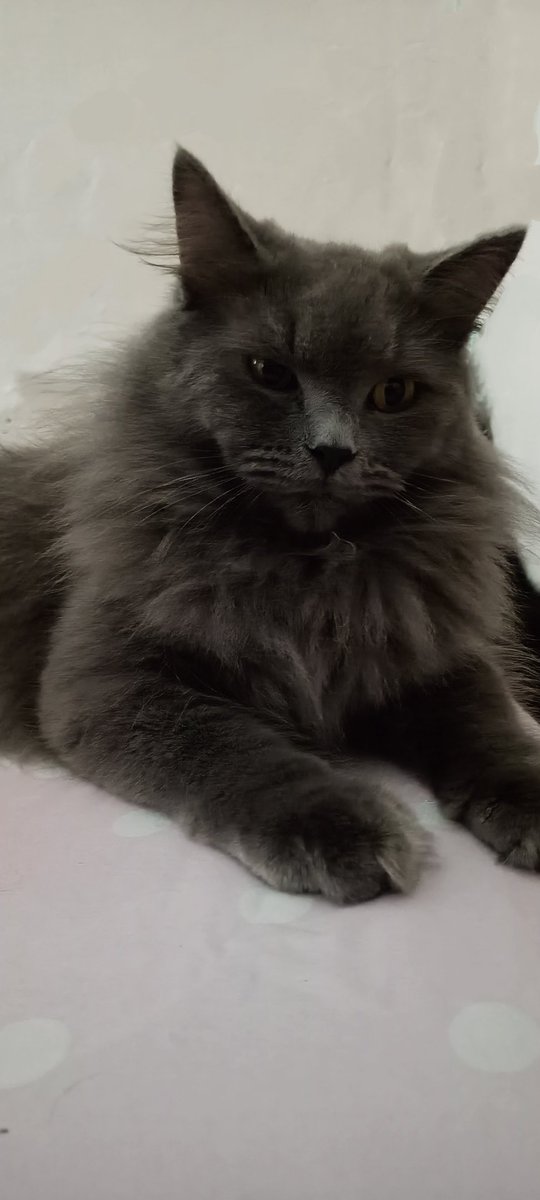 cutienanop's tweet photo. Ubuuuu anakku tth kangen nak😭🖤 https://t.co/UC1A5Mw8jT