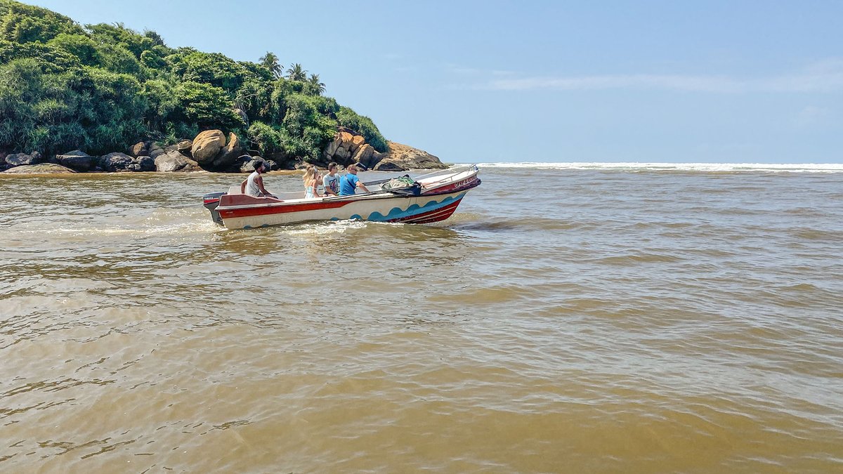 Step outside and hop on a boat to enjoy the expansive stretch of mangroves during a tranquil river safari with Bentota No 1. 

>>>tinyurl.com/ytvjx67l

#BentotaNoOne
#LuxuryVillasinSriLanka
#SriLanka 
#AdventurousBoatRides
#RiverSafaris 
#VisitSriLanka