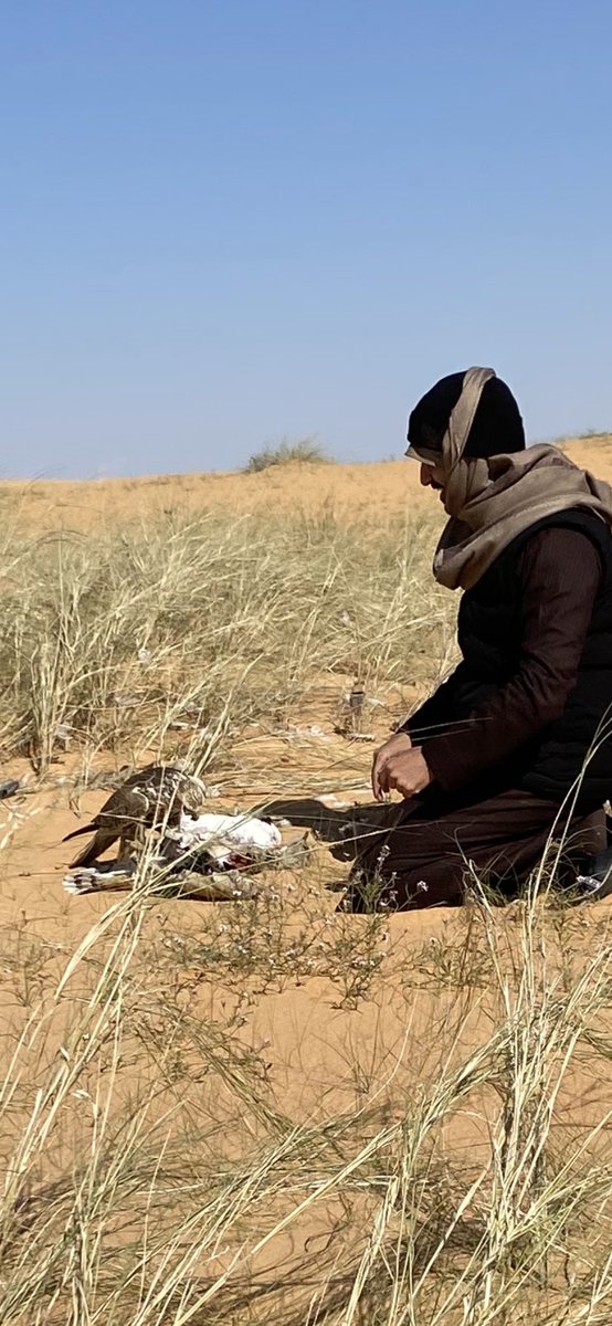 نايف الشريّطي tweet media