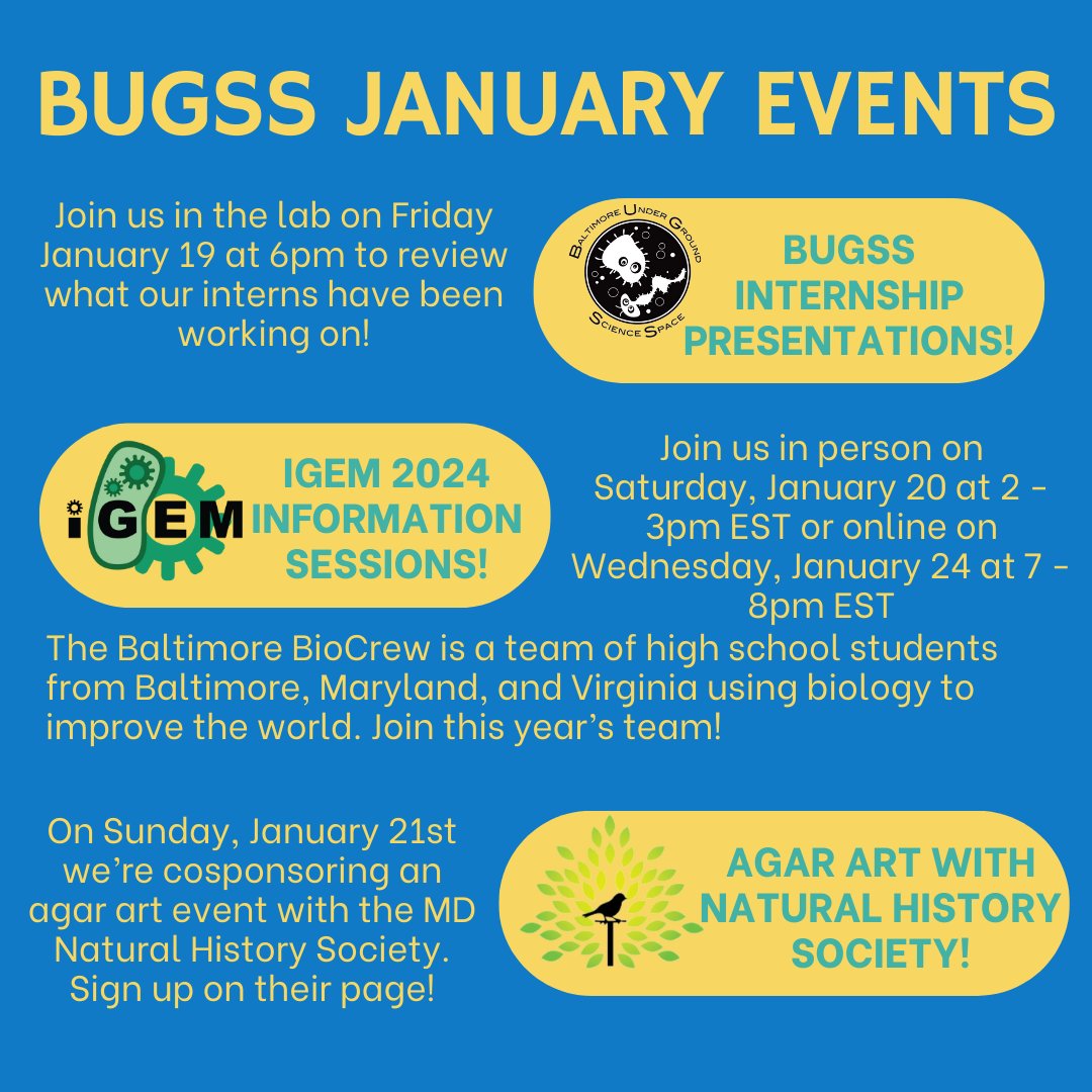 BUGSSlab's tweet photo. Tons of science events are happening in Baltimore! From intern presentations to lab events, sign up on our Eventbrite or our partner's pages! https://t.co/9Hp3iAuEKM πͺ
#BUGSS #Artists #Biotech #STEM #science #Business #Engineers #Industrial #Baltimore #lab #familyfriendly https://t.co/8EgmyQWVxr