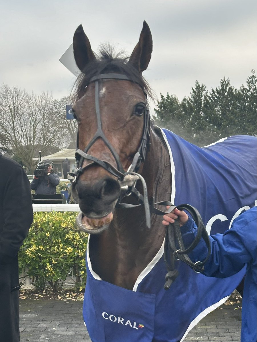 Coral's tweet photo. Smile if you’ve just won the Lanzarote Hurdle… Congratulations Jay Jay Reilly and all of his connections! 🤩 https://t.co/t3jG7uWxe2