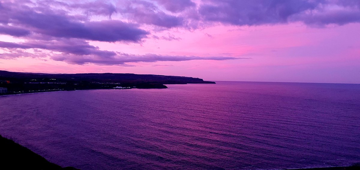 Day at the patch, Scarborough #PWC2024 <a href="/BirdingClimate/">Low-Carbon Birding</a>