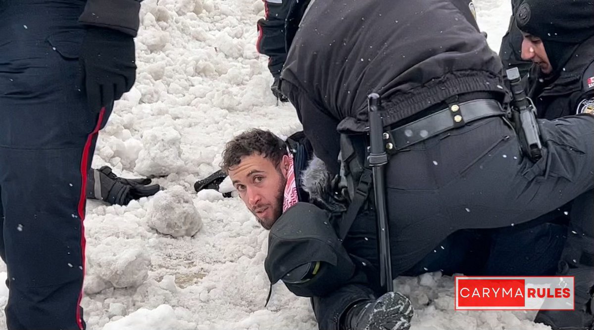 Caryma Sa'd - Lawyer + Political Satirist tweet media