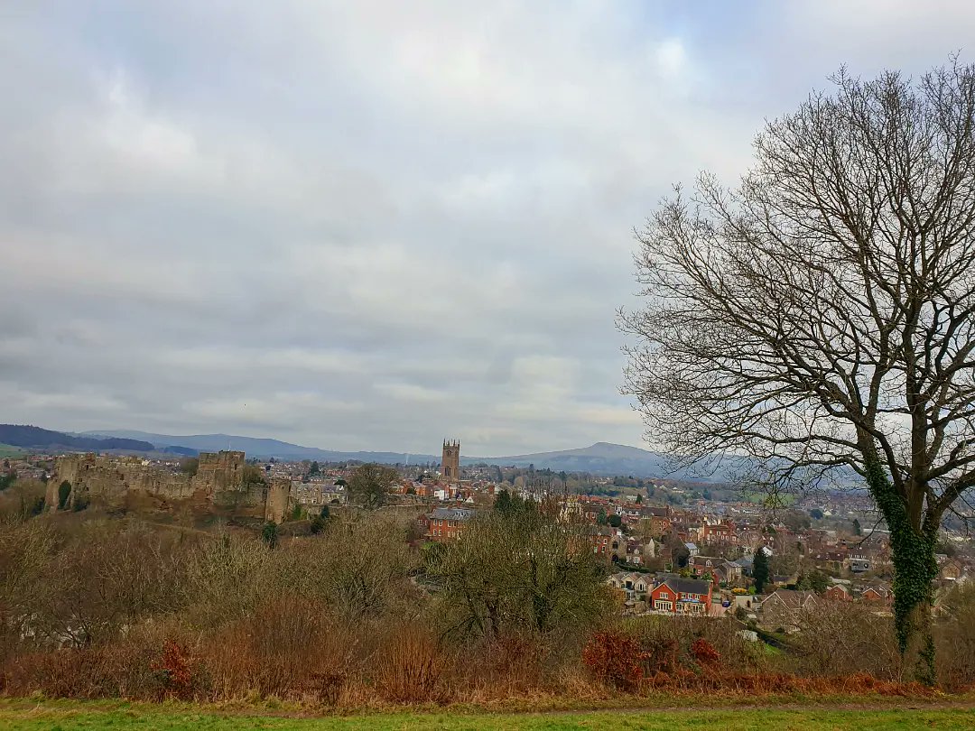 sharonamery's tweet photo. We had another beautiful day for my second consecutive 11 mile bimble around #MortimerForest, #HighVinnalls and #Whitcliffe in #Shropshire! The skies weren't quite as blue, but the ground was less muddy and the views still amazing! π
#Ludlow #Winter #Walking #WeekendVibes https://t.co/uSqGFJoweC