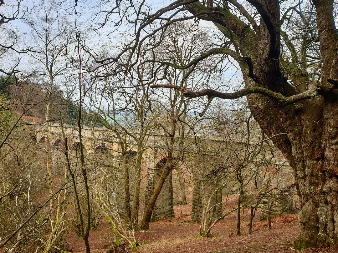sharonamery's tweet photo. We had another beautiful day for my second consecutive 11 mile bimble around #MortimerForest, #HighVinnalls and #Whitcliffe in #Shropshire! The skies weren't quite as blue, but the ground was less muddy and the views still amazing! π
#Ludlow #Winter #Walking #WeekendVibes https://t.co/uSqGFJoweC