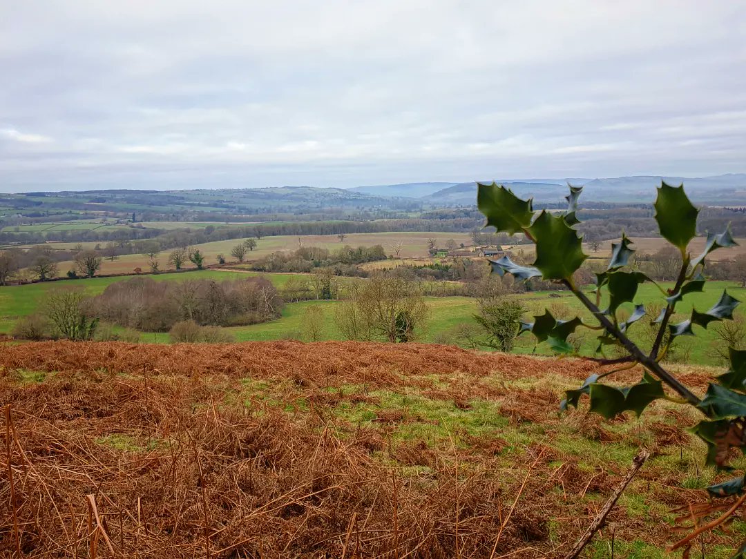 sharonamery's tweet photo. We had another beautiful day for my second consecutive 11 mile bimble around #MortimerForest, #HighVinnalls and #Whitcliffe in #Shropshire! The skies weren't quite as blue, but the ground was less muddy and the views still amazing! π
#Ludlow #Winter #Walking #WeekendVibes https://t.co/uSqGFJoweC