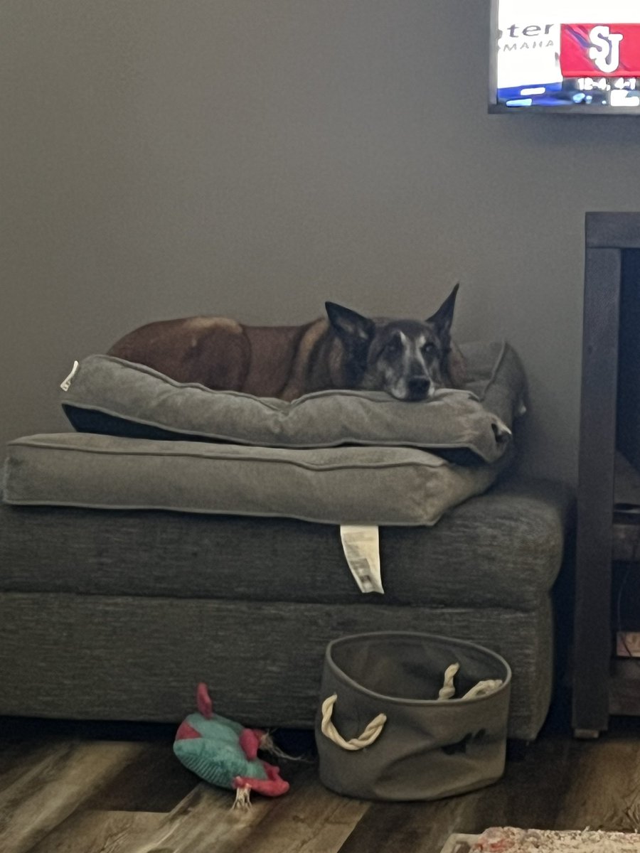 Who ordered this crappy snow and cold? At least I am retired and don’t have to search in this stuff