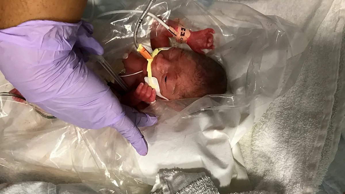 Michael Narvey 🇨🇦 tweet media