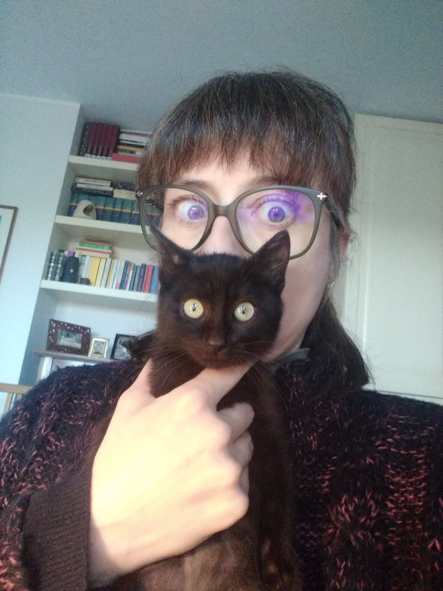 stellasacchini's tweet photo. State of mind: ovvero quando ci manca un capitolo per finire di tradurre Jane Austen.
#vitadatraduttrice #poortranslator #cattranslator https://t.co/Y83PPl7z6V