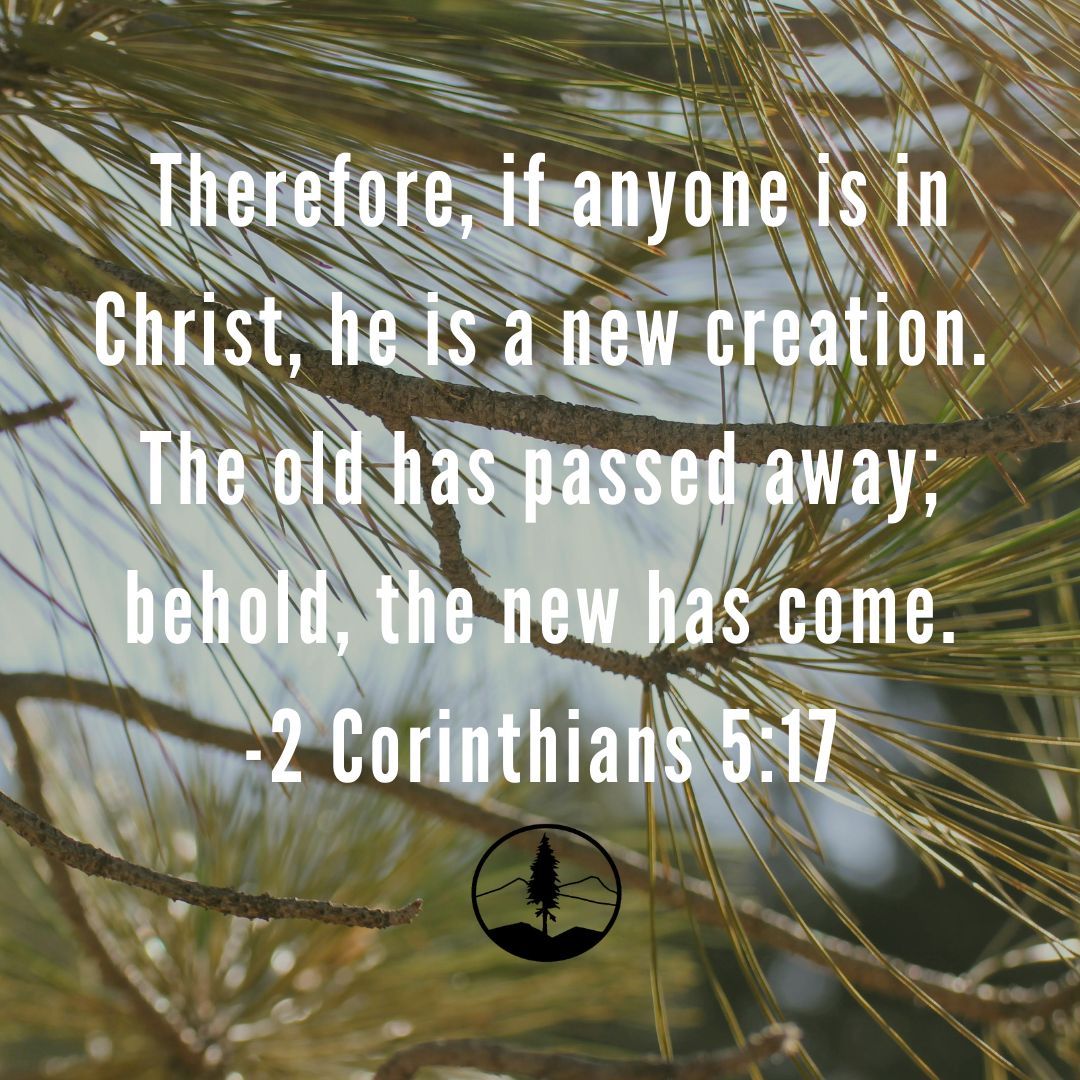 PVBCC's tweet photo. Happy Sunday! https://t.co/pBCwYQZ2U6