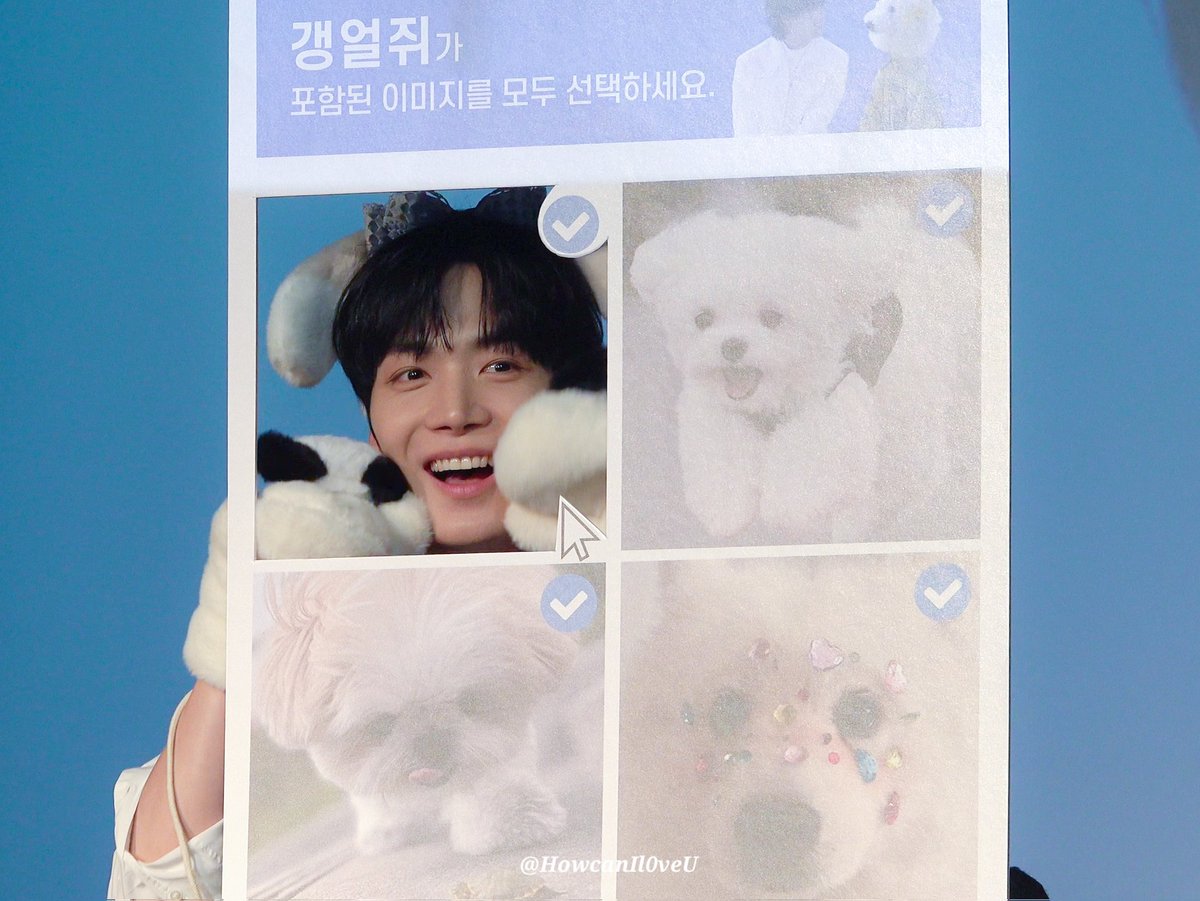 링 ! tweet media