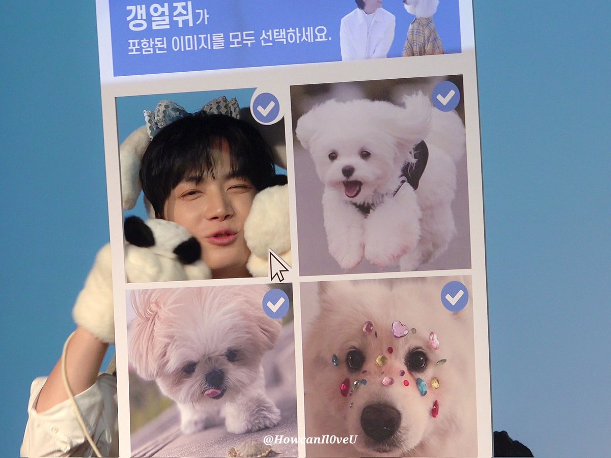 링 ! tweet media