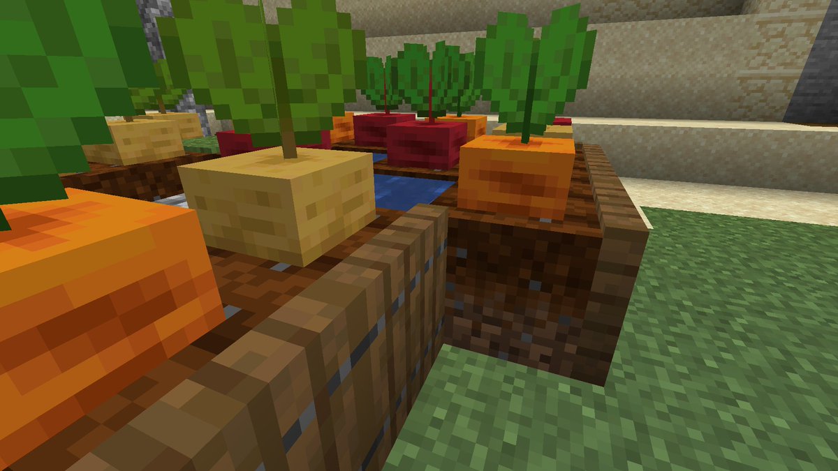 Bontiful tweet media