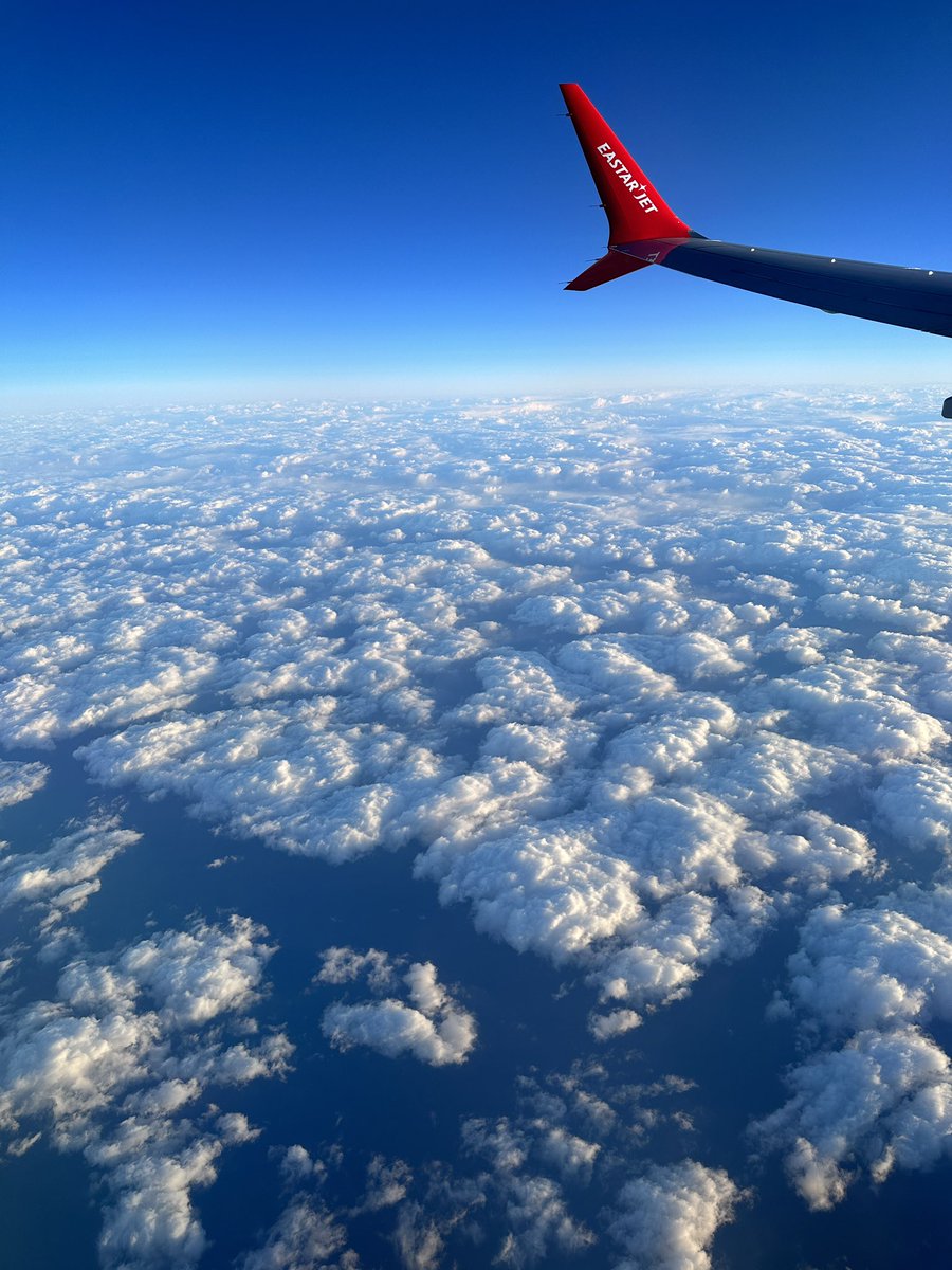 BLS Notion (@notion_r6) on Twitter photo 