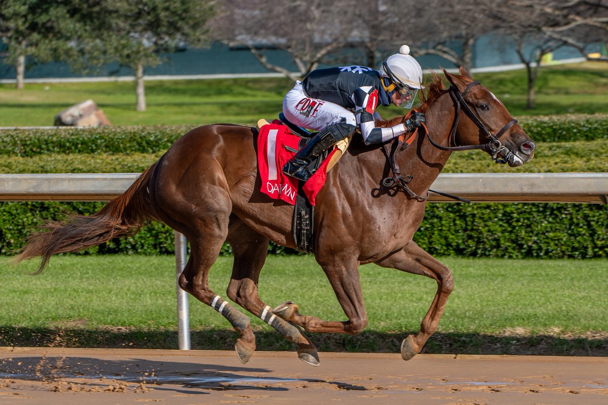 Robert Yates (@robertyates1982) on Twitter photo Twenty to Park - the Saturday cost for main lots adjacent to <a href="/OaklawnRacing/">Oaklawn Hot Springs</a> owned by Hot Springs native <a href="/StatonFlurry/">Staton Flurry</a> & mother Dorothy - winning his career debut by 9 lengths Friday at Oaklawn. Francisco Arrieta rode the 3 y/o Ark.-bred son of Speightster for SF & <a href="/shirerracing/">Matt Shirer</a>. Twenty to Park - the Saturday cost for main lots adjacent to <a href="/OaklawnRacing/">Oaklawn Hot Springs</a> owned by Hot Springs native <a href="/StatonFlurry/">Staton Flurry</a> & mother Dorothy - winning his career debut by 9 lengths Friday at Oaklawn. Francisco Arrieta rode the 3 y/o Ark.-bred son of Speightster for SF & <a href="/shirerracing/">Matt Shirer</a>.