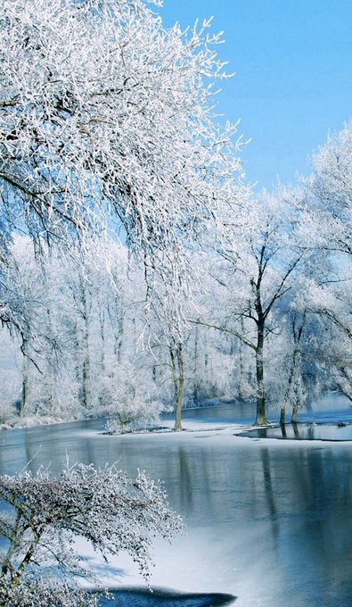 The place where the dream journey begins.