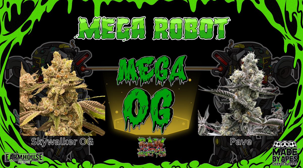 Raw_Genetics_'s tweet photo. Now is your chance to win a pack of seeds from our collaboration with @MegaRobot420 dropping Jan 19th
#MegaOG - #SkywalkerOG x #Pavรจ ๐จ
Rules ๐ท
- Follow @Raw_Genetics_ @Mr_Robot_v1
- Tag 3 friends
- Like + Retweet
Winners picked in 72 hrs ๐ท
#FlavorForward https://t.co/8fVjXckOb5