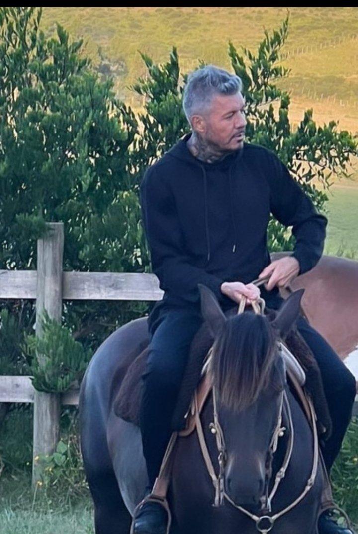 sequejes's tweet photo. @kari83755915066 @mmilettfigueroa @cuervotinelli @AngeldebritoOk Para Angelito, para que soñes hoy con 👇 cabalgando.. te #Marcangel https://t.co/N5c4mmPoA1