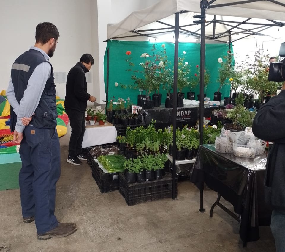 40% de nuestros usuarios de Magallanes usan el crédito de Indap para potenciar su producción agrícola.  Ahora, gracias al portal Mi Pago Indap, podrán pagarlos desde su computador, tablet o celular, ahorrándose el costo del traslado y el tiempo ocupado.