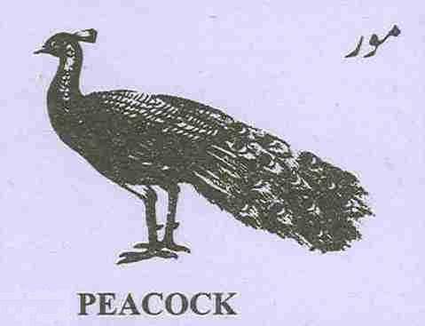 الیکشن کمیشن کی جانب سے پی ایس 100 اور این اے 236 سے پاکستان سنی تحریک کے حمایت یافتہ امیدوار مٹھا خان کو " مور "   "PEACOCK "
کا نشان الاٹ کردیا گیا۔

#PS_100
#NA_236

قصہ مختصر
نہ چیخو پکار نہ شور 
بس اب چلے گا صرف  "مور"