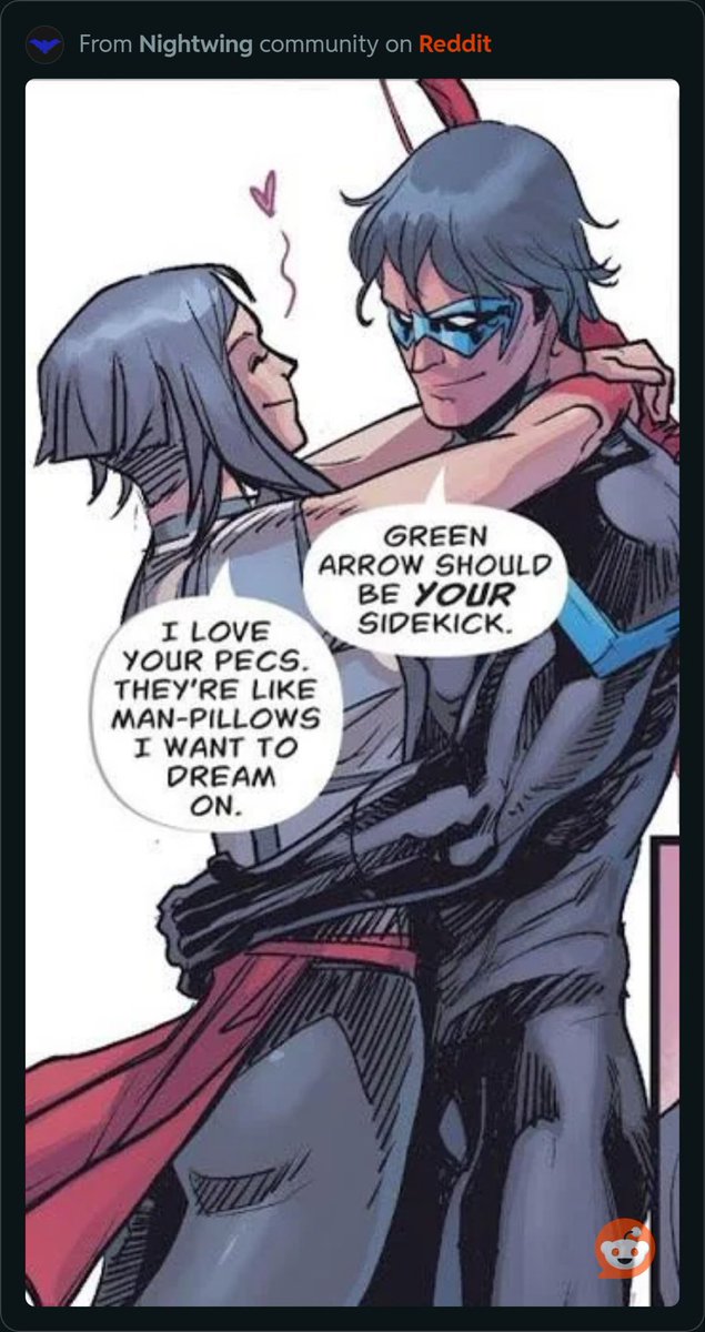 YinzOffsides's tweet photo. Never forget Nightwing (Dick Grayson) is THAT DUDE https://t.co/OJB9vG5HVp