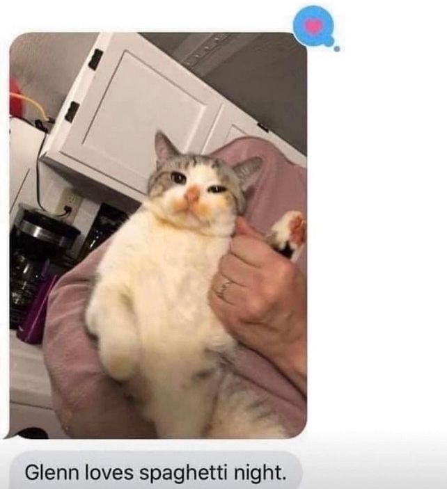 PostsOfCats's tweet photo. https://t.co/LnEXqMtR5R