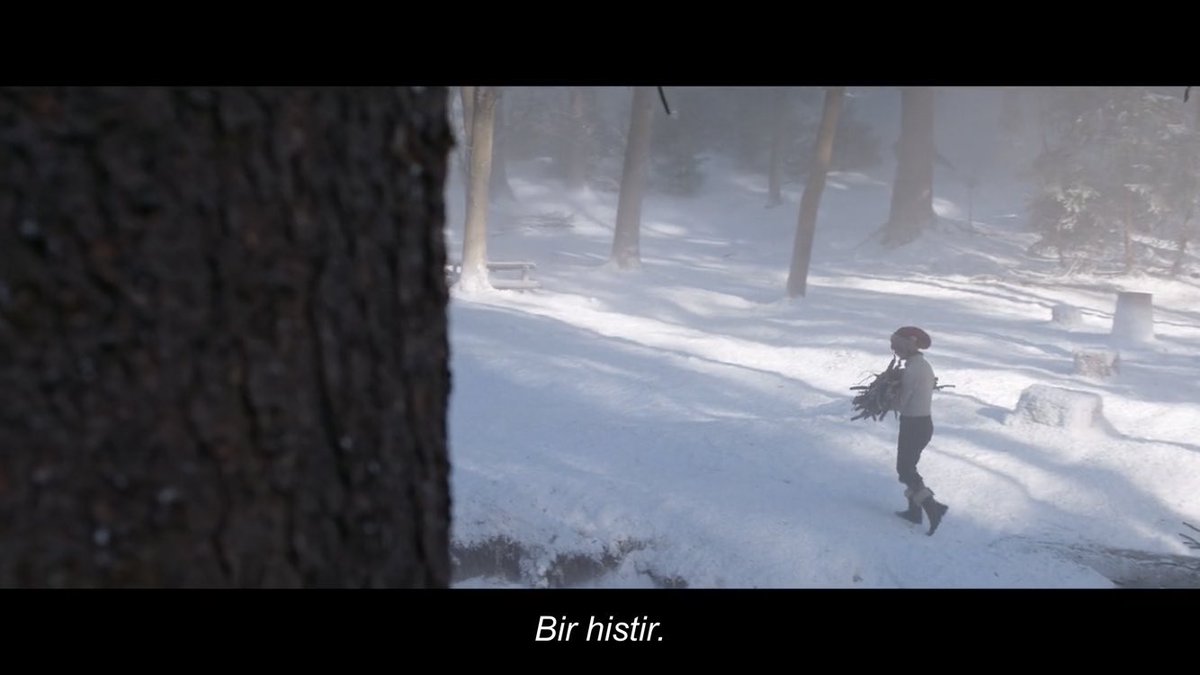 yarım kalanlar tweet media