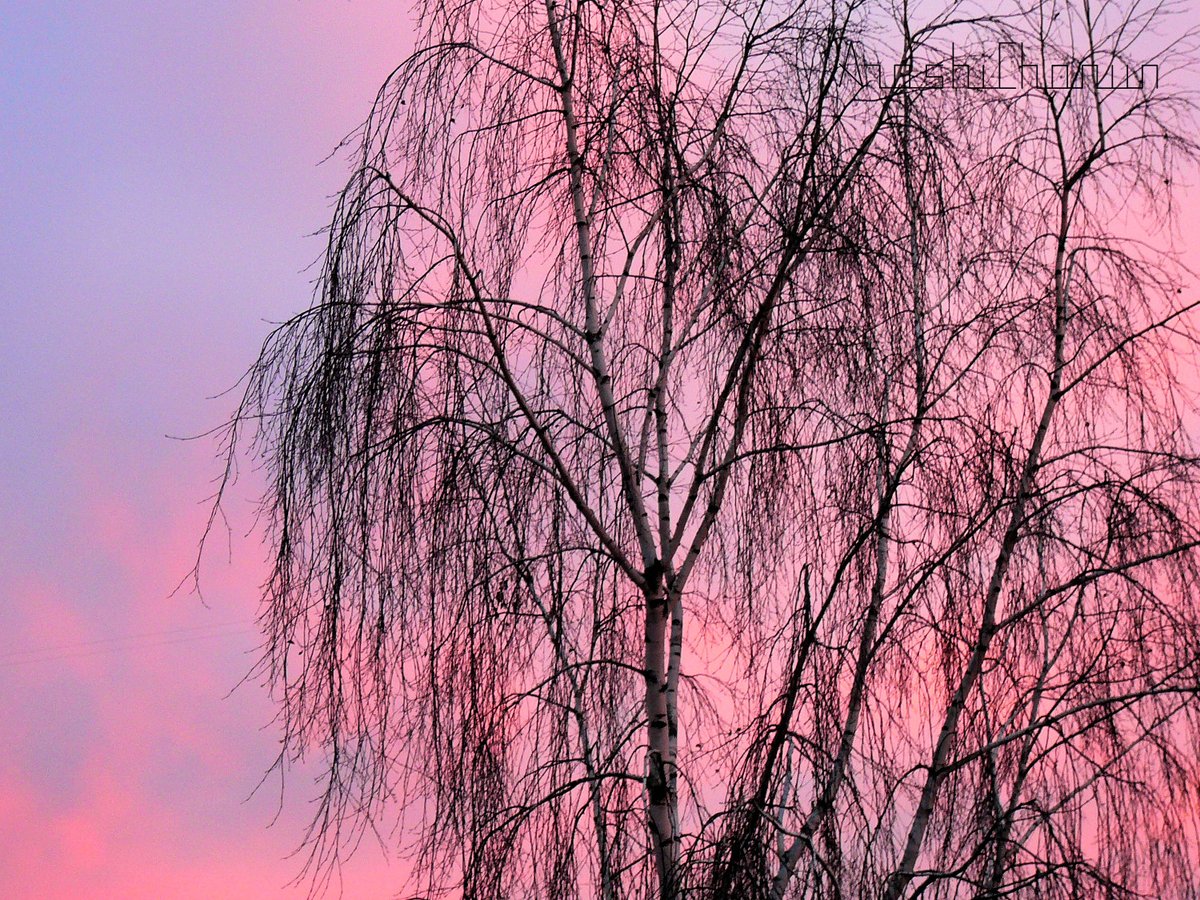 おはようございます...