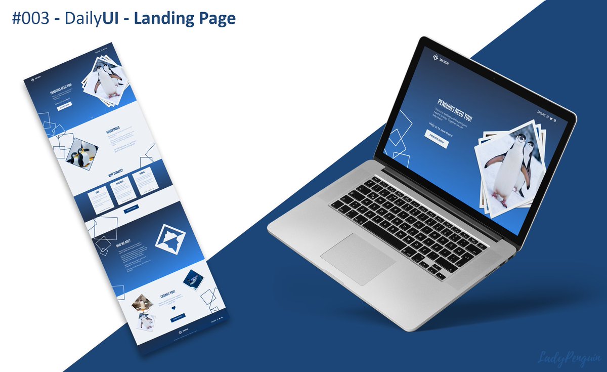 Lady Penguin tweet media