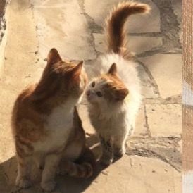 ccocorey's tweet photo. |🧵 a thread

abro hilo de mis hilos<3 https://t.co/TLad4S2aYu