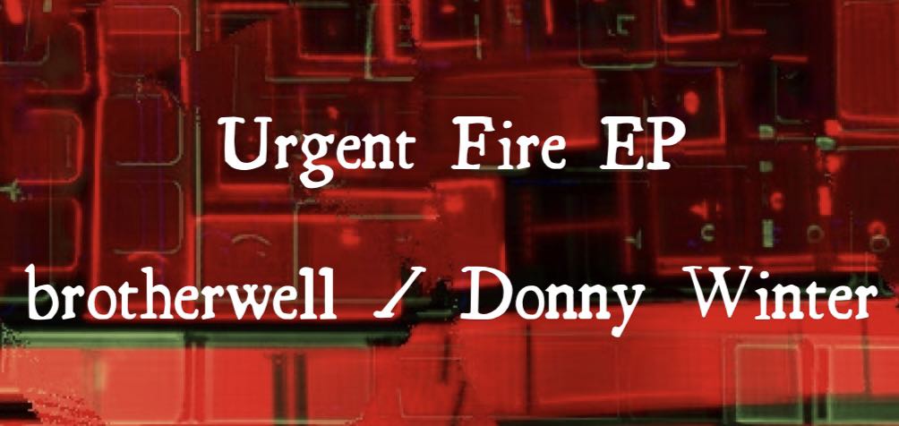 Donny Winter 🌈🖖 tweet media