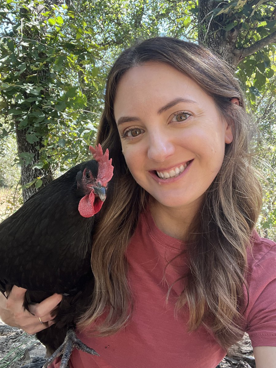 Danielleprewett's tweet photo. I don’t wanna get into the drama of why, but yesterday I had to dispatch my chickens. I hunt a lot so this is nothing new, but having to take the life of an animal you cared for is difficult in different ways. Ultimately, I’m grateful for the meals they will provide 
#chickens https://t.co/jMBrOnuEIg