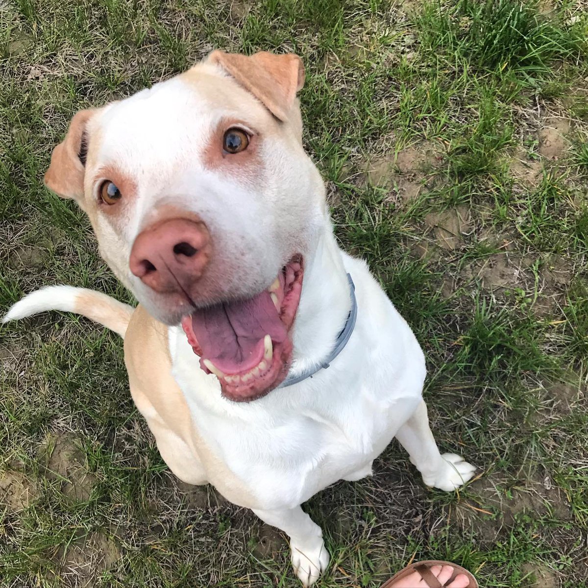 BreakingTaps tweet media