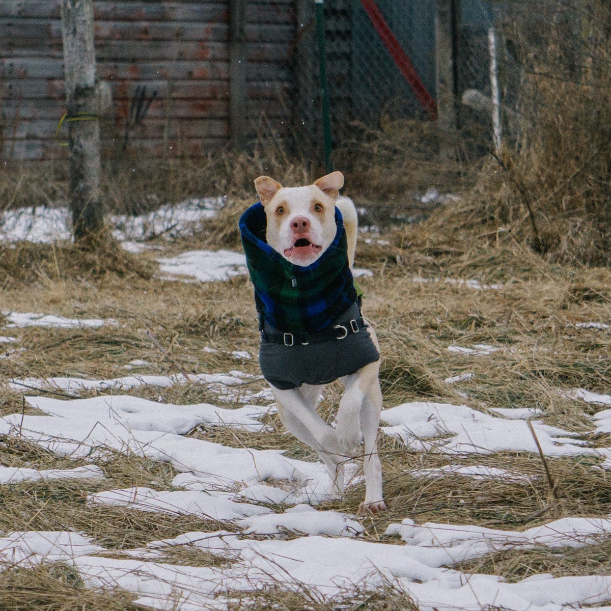 BreakingTaps tweet media