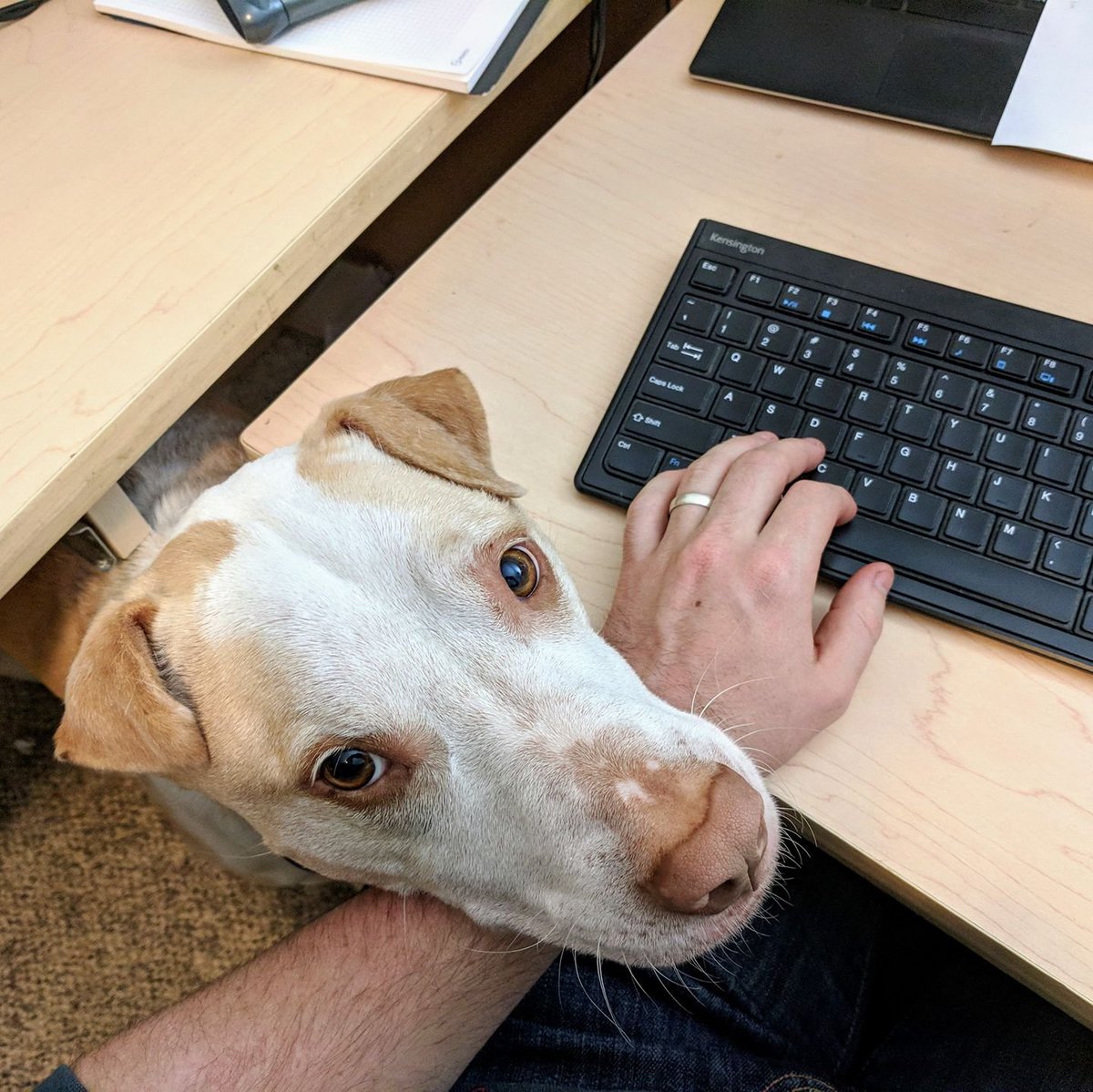 BreakingTaps tweet media