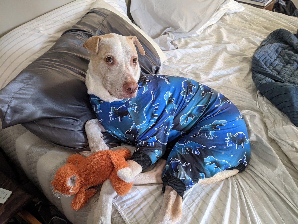 BreakingTaps tweet media