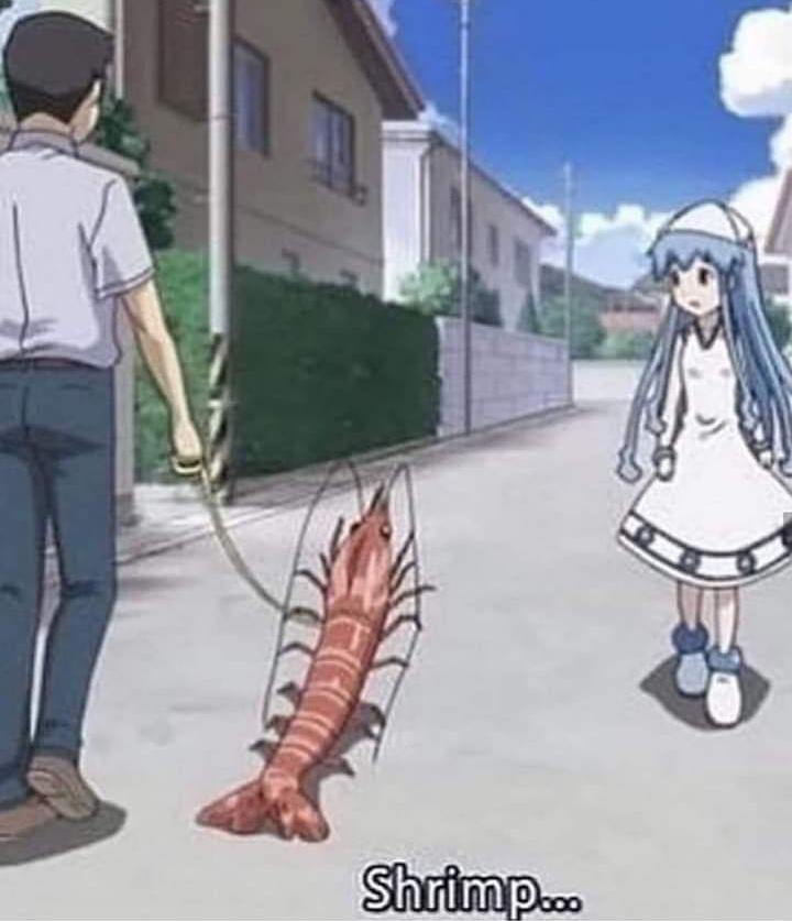 _digital_witch_'s tweet photo. shrimp https://t.co/XrX05OTGjM