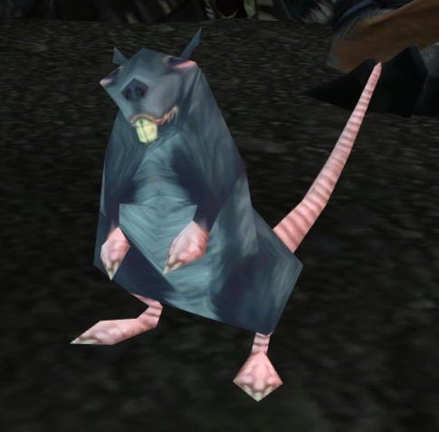 chrissyxchi's tweet photo. “you better not be a stupid ass looking world of warcraft rat when I get there”

me: https://t.co/ppKvPrzBFD