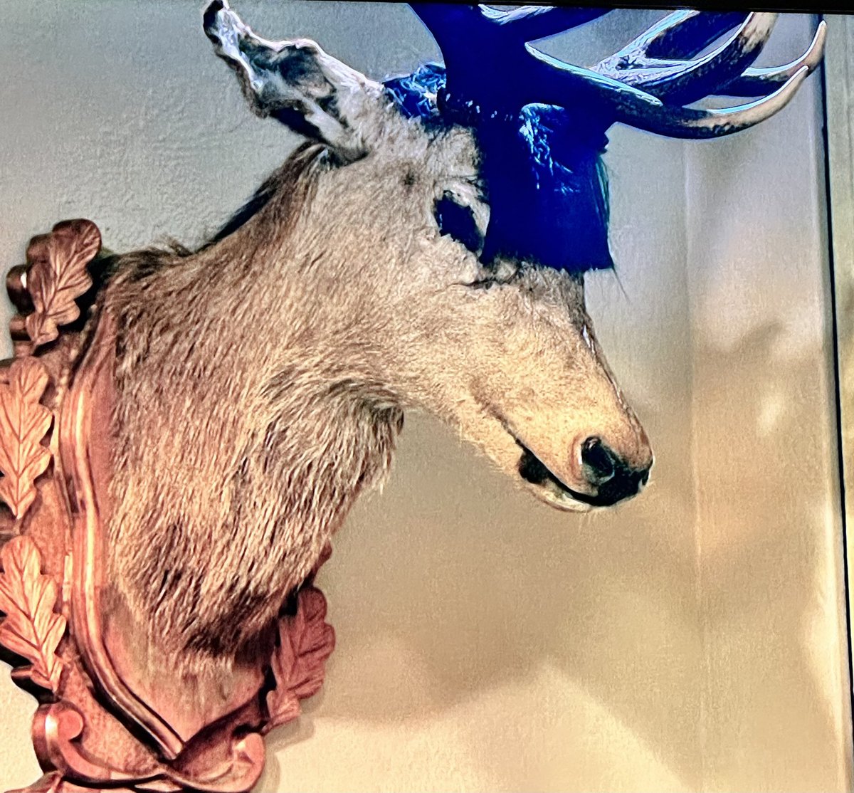 Jason_SW1's tweet photo. @EdGambleComedy Loving =uncloaked - Have you noticed the stuffed animal on the wall has adopted a Winklefringe?  I’m loving Clau-Deer Winkleman! https://t.co/LcfgsGItwq